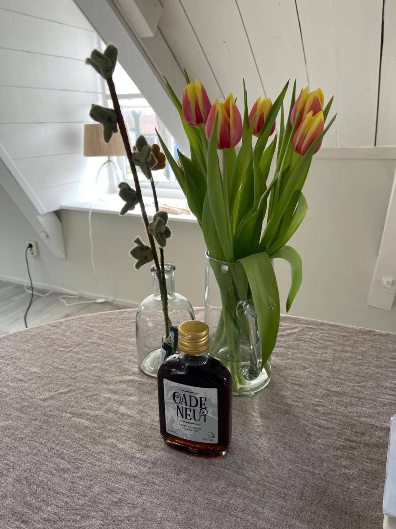Appartement Bij Risje Dorp